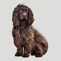 Boykin Spaniel Dog Zipper Hoodie | Teevron