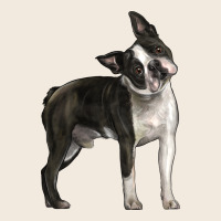 Boston Terrier Zipper Hoodie | Teevron