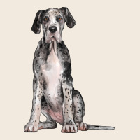 Great Dane Dog Zipper Hoodie | Teevron