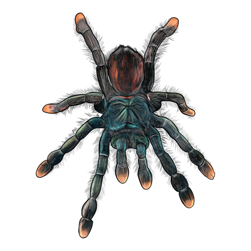 Pink Toe Tarantula Zipper Hoodie by LillyAllenDesigns | Teevron
