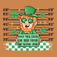 May The Luck Of The Irish Be With You Heavyweight Hoodie | Teevron