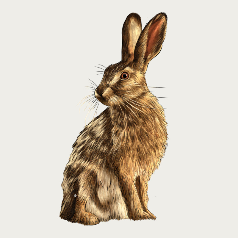 Hares Zipper Hoodie by LillyAllenDesigns | Teevron