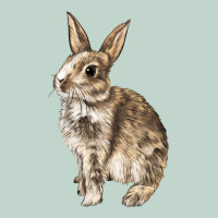 Rabbit Zipper Hoodie | Teevron