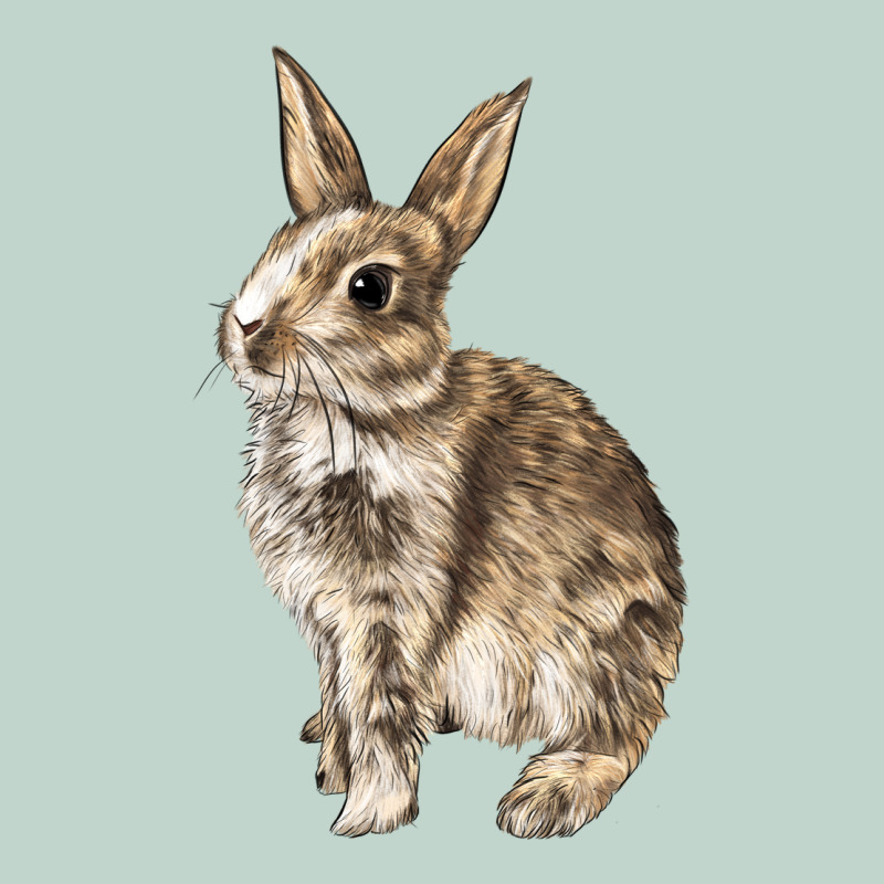 Rabbit Zipper Hoodie by LillyAllenDesigns | Teevron