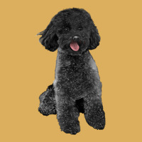 Black Poodles Dog Premium Hoodie | Teevron