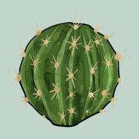 Cactus Zipper Hoodie | Teevron