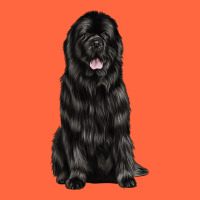 Newfoundland Dog Premium Hoodie | Teevron