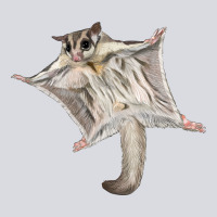 Sugar Glider Zipper Hoodie | Teevron