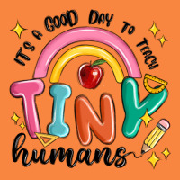 Its A Good Day To Teach Tiny Humans Premium Sweatshirt | Teevron