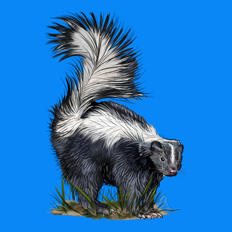 Skunk Zipper Hoodie by LillyAllenDesigns | Teevron