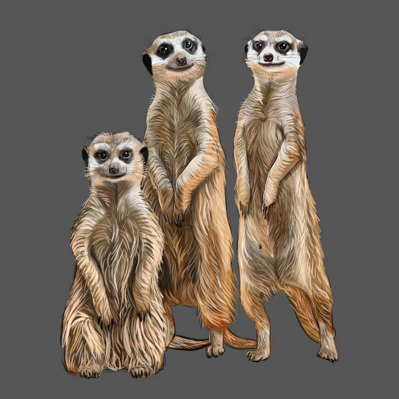 3 Meerkat Zipper Hoodie by LillyAllenDesigns | Teevron