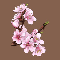 Peach Blossom Zipper Hoodie | Teevron