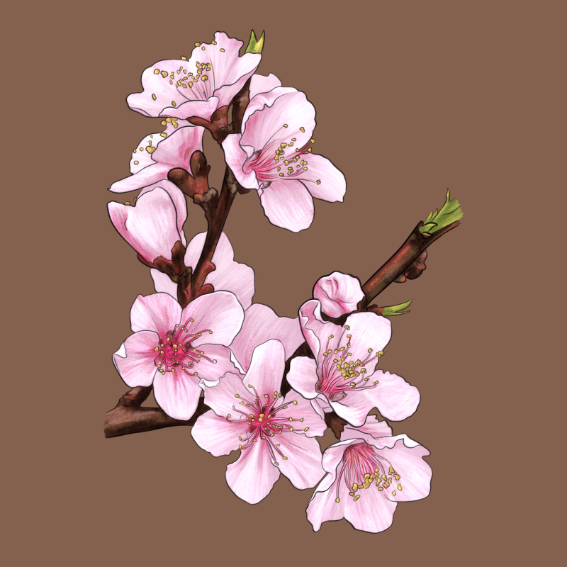 Peach Blossom Zipper Hoodie by LillyAllenDesigns | Teevron