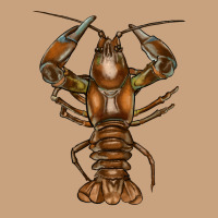 Crawfish Vintage Tee | Teevron