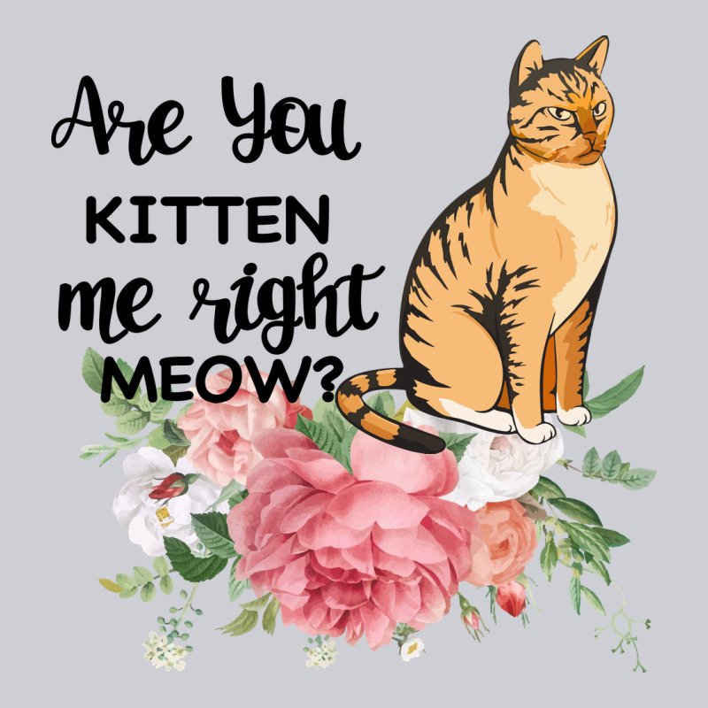 Are You Kitten Me Right Meow Urban Hoodie by Bettercallsaul | Teevron