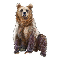 bear | Teevron