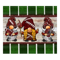 football gnomes | Teevron