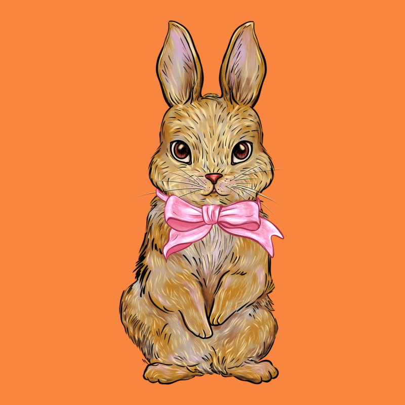 Easter Rabbit Premium Sweatshirt by NancyCooperArtShop | Teevron