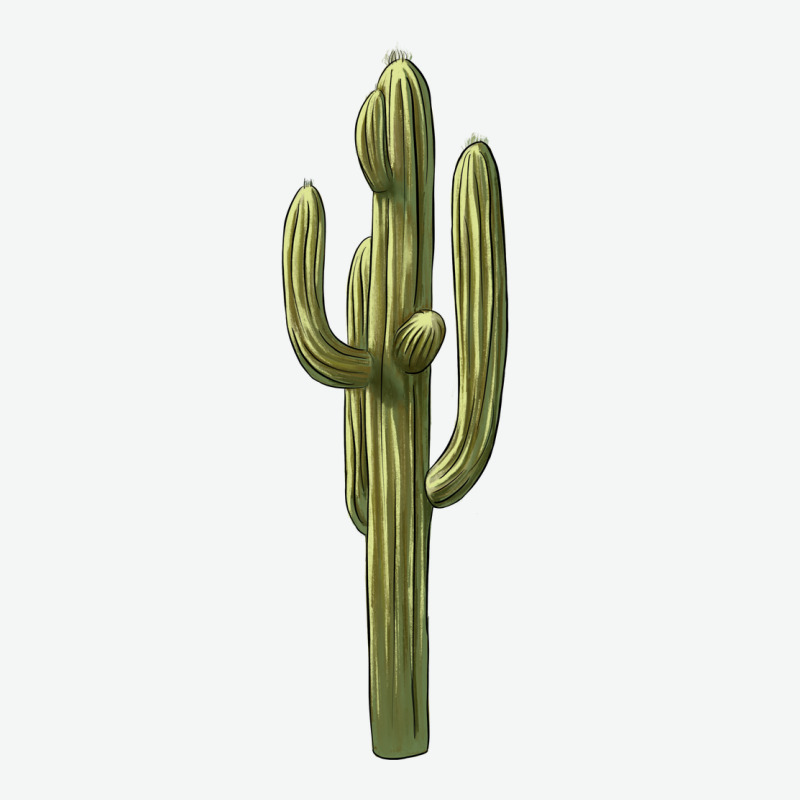 Cactus Urban Heavy Tee by BarkalooDesign | Teevron