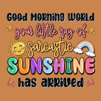Good Morning World Your Little Ray Of Sarcastic Heavyweight Hoodie | Teevron