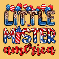 Little Mister America Vintage Hoodie | Teevron
