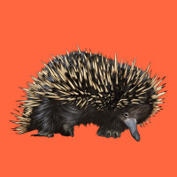 Short Beaked Echidna Premium Hoodie | Teevron