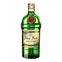 have fun gin bottle | Teevron