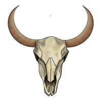 bull skull | Teevron