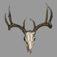Deer Skull Vintage Hoodie | Teevron