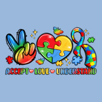 Accept Love Understand Premium Hoodie | Teevron