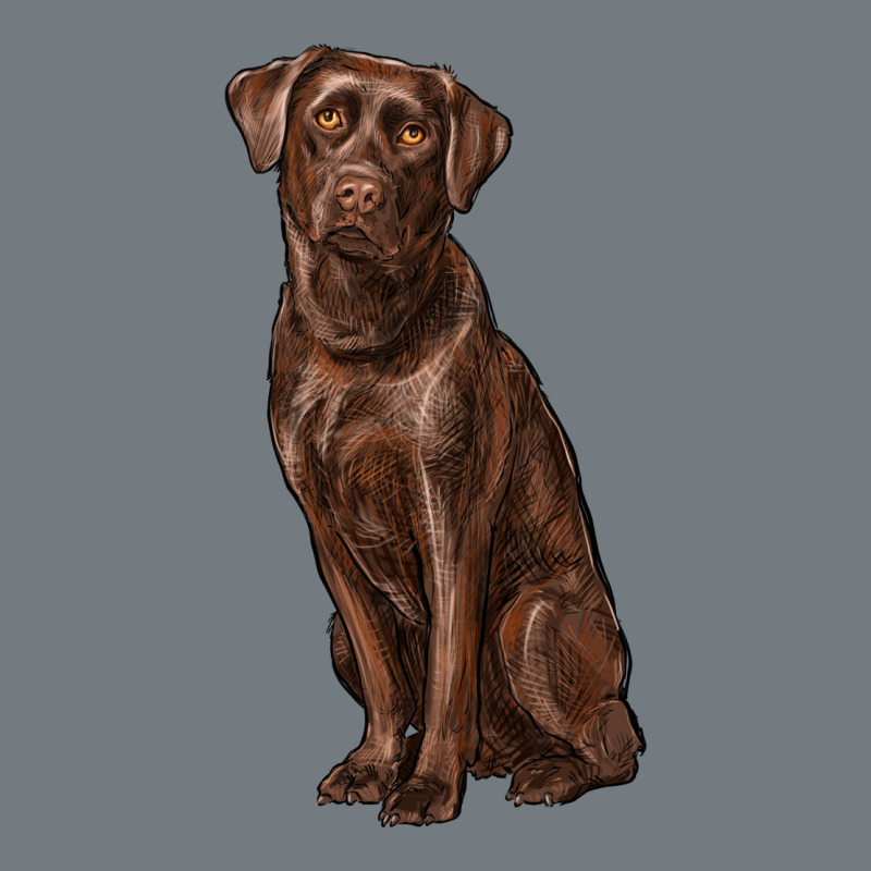 Labrador Retriever Heavyweight Sweatshirt by RanaPortraitStore | Teevron