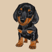 Dachshund Puppy Heavyweight Sweatshirt | Teevron