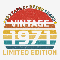 Vintage 1971 Limited Urban Hoodie | Teevron