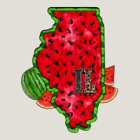Illinois Watermelon Heavy Core Tee | Teevron