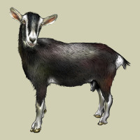 Alpine Goat Heavy Core Tee | Teevron