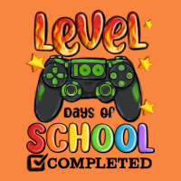 Level 100 Days Of School Completed Premium Sweatshirt | Teevron