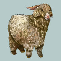 Angora Goat Heavy Core Tee | Teevron