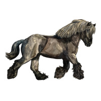 Belgian Horse | Teevron