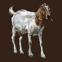 Boer Goat Heavy Core Tee | Teevron