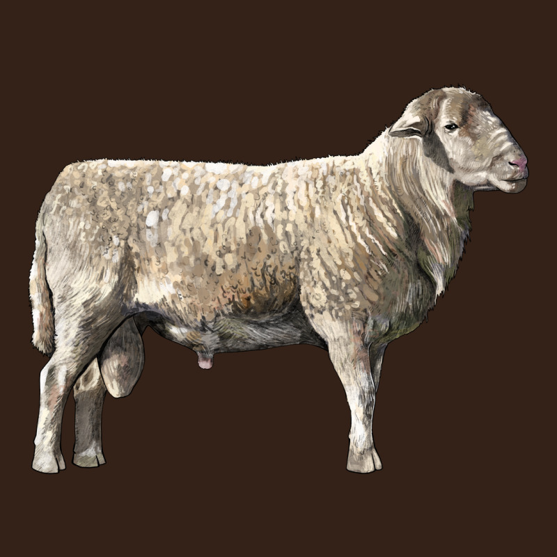 Katahdin Sheep Heavy Core Tee by LillyAllenDesigns | Teevron