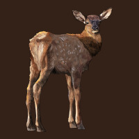 Elk Fawn Deer Heavy Core Tee | Teevron