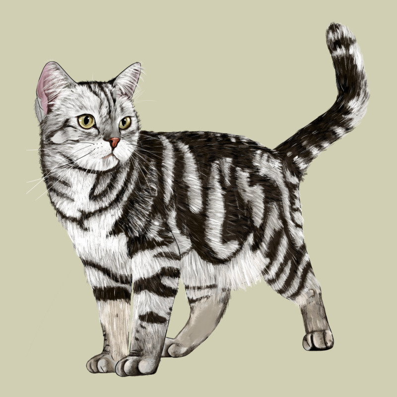 American Shorthair Cat Heavy Core Tee by LillyAllenDesigns | Teevron