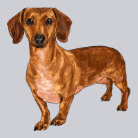 Dachshund Heavyweight Sweatshirt | Teevron