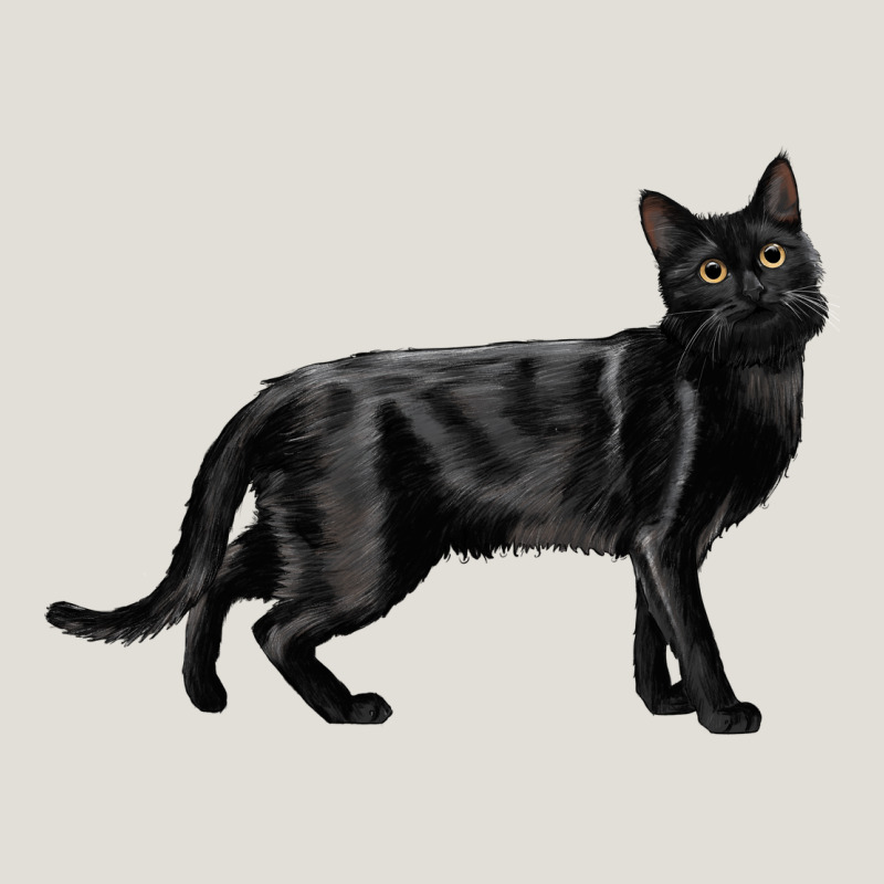 Bombay Cat Heavy Core Tee by LillyAllenDesigns | Teevron