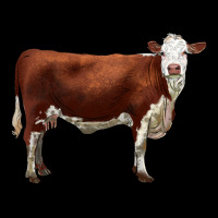 Hereford Cow Heavy Core Tee | Teevron