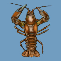 Crawfish Urban Heavy Tee | Teevron
