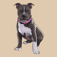 Pitbull Heavyweight Sweatshirt | Teevron
