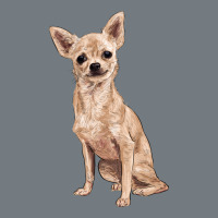 Chihuahua Heavyweight Sweatshirt | Teevron