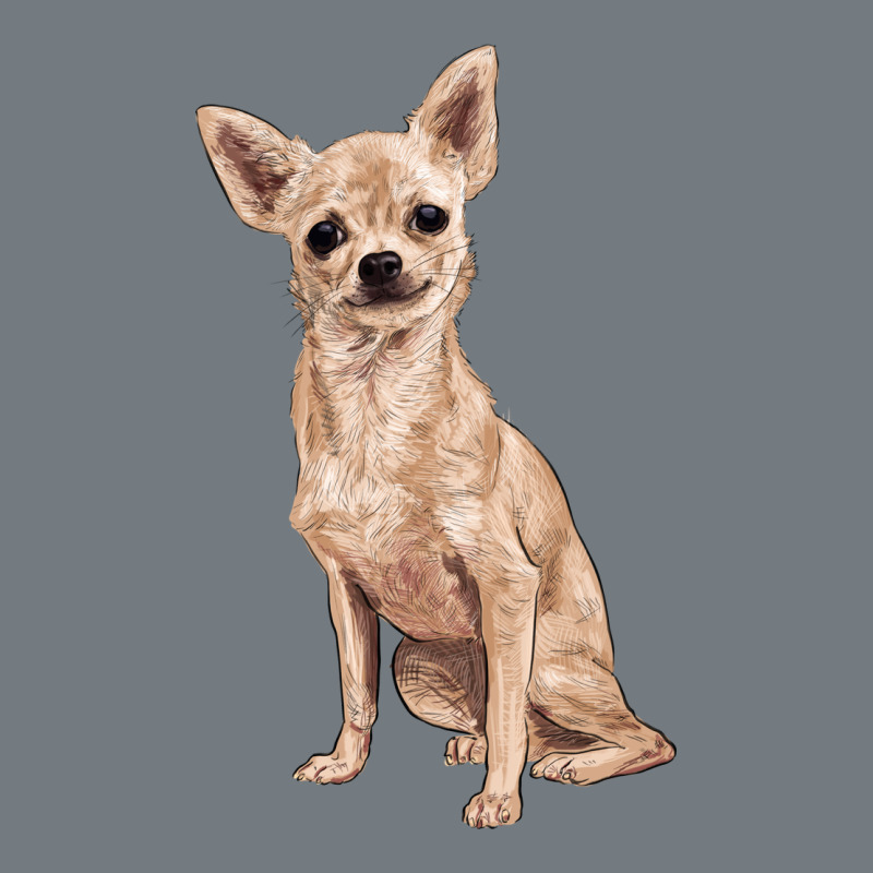 Chihuahua Heavyweight Sweatshirt by RanaPortraitStore | Teevron