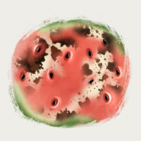 Watermelon Cowhide Patch3 Zipper Hoodie | Teevron